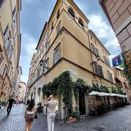 The Eclectic Of Collector - Navona Square